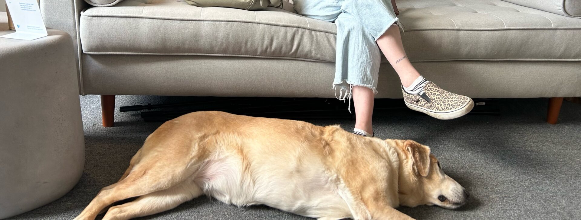 Photo is of Ursula lying on her side with her head on a person’s feet. Person is wearing light blue jeans with a frayed hem and slip on shoes with a leopard print.